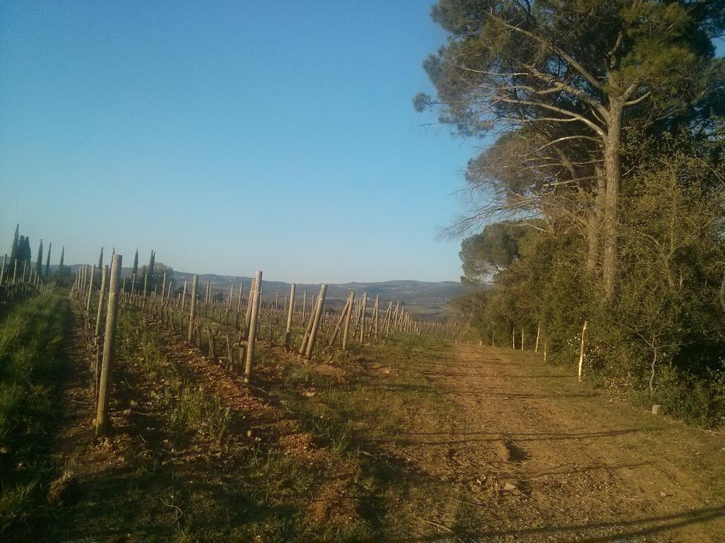 Argiano Dimore Wine Relais Εξωτερικό φωτογραφία