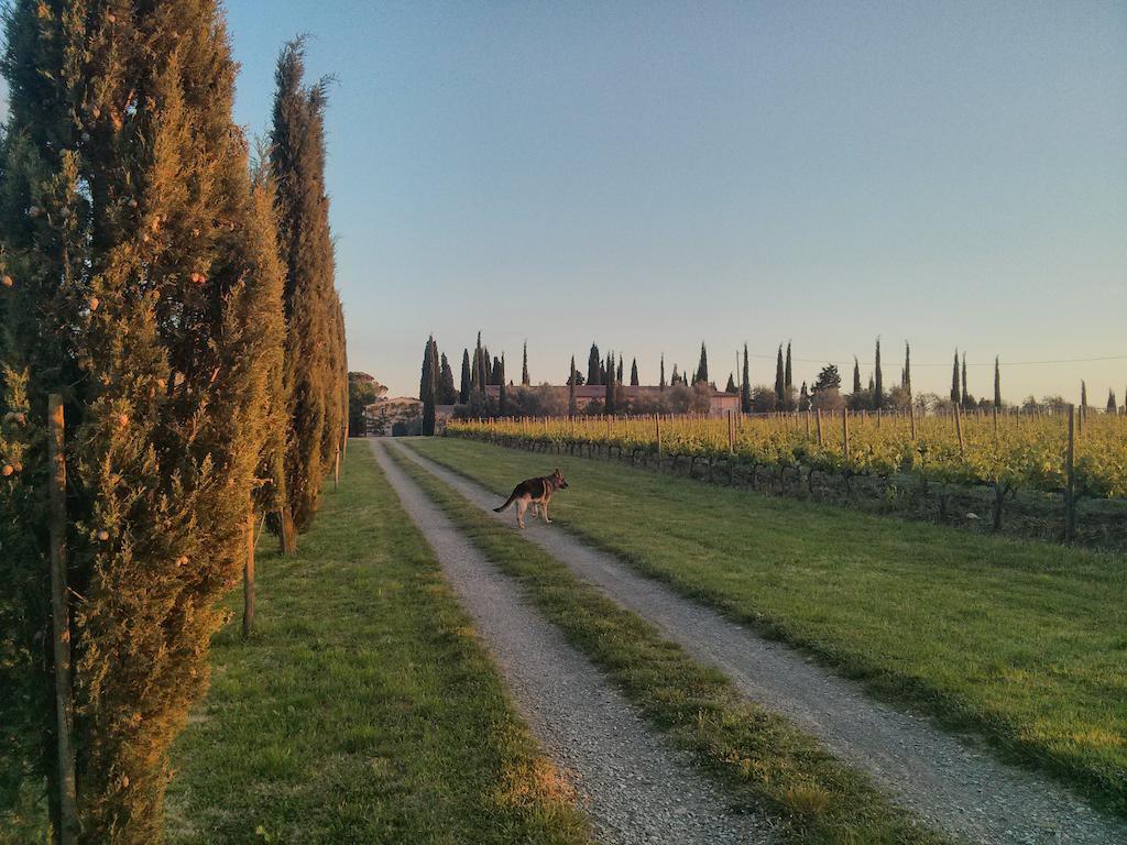 Argiano Dimore Wine Relais Εξωτερικό φωτογραφία